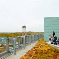 tour group looks out at campus